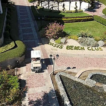 Oasis Club *
